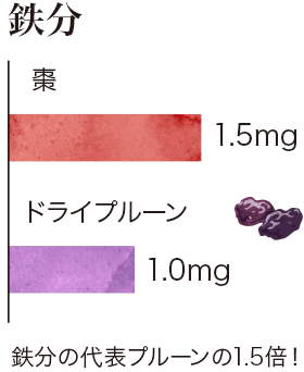 なつめに含まれる栄養成分・比較