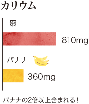 なつめに含まれる栄養成分・比較