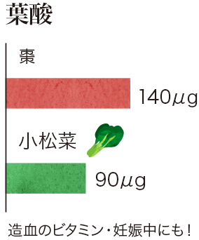 なつめに含まれる栄養成分・比較